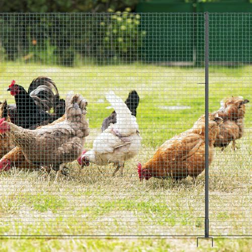 Non Electric Fence Netting 40" x100', Boundary Fence with Double Spiked Posts, Portable Poultry Fencing for Dogs, Chickens, Ducks, Turkeys Backyard Garden Farm