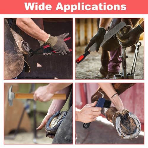 8Pcs Farrier Hoof Tool Kit, Horse Hoof Trimming Tools, For Horses Cattle | Farrier Hoof Nippers, Horseshoe Cutting Pliers, Hoof Rasp File, Horseshoe Brush, Hoof Knife, Hoof Hammer, For Sheep Donkeys