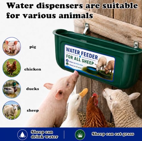 2 Pack Hanging Goat Feeder and Water Trough, Fence Mounted Feeder for Goats, Sheep and Lambs, Lamb Feeder, Large Capacity Livestock Feeding Container, Easy Install Farm Feeder