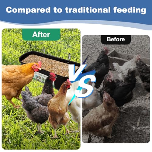 6 Pack Goat Feeders Hanging 3.5 Quart Chicken Feeder Waterer Trough, Goat Mineral Feeder Fence Feeder for Livestock Poultry, Duck, Black
