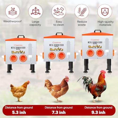 55LBS Large Capacity Automatic Chicken Feeder - Upgraded Window Design Allows Viewing of Feed Conditions, 8 Feeding Ports, Anti-Waste Design, Height-Adjustable Legs & Secure