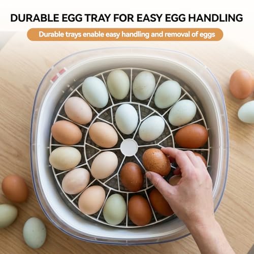 Egg Trays for 22 Medium (Chicken) Eggs - Durable Egg Tray for Nurture Right 360 Egg Incubator