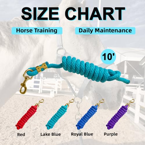 5/8" x 8' Nylon Horse Lead Rope with Cast Iron Hardware(Lake Blue) | Durable nylon material, cast iron hardware, ideal for daily use, training and showing. - color: Lake Blue