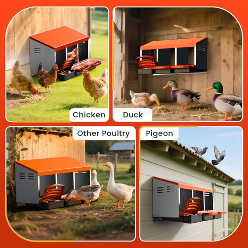 Chicken Nesting Boxes, Roll Away Laying Nest Box for Hens, 3 Compartments | Rollout design with removable drawer for easy egg collection and cleaning, built with durable galvanized steel, Orange - color: Orange-Red