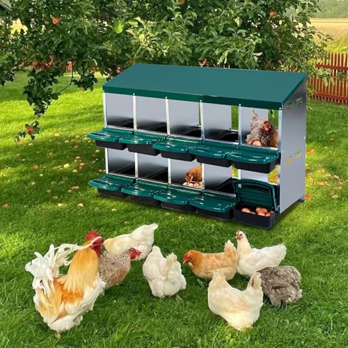 10 Compartment Metal Chicken Nesting Boxes Roll Away Egg Collection with Lid Cover