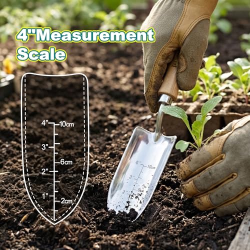 Berry&Bird Measuring Transplanting Trowel, 13.78" Stainless Steel Garden Shovel with Wood Handle - color: Measuring Transplanting Trowel, size: Small