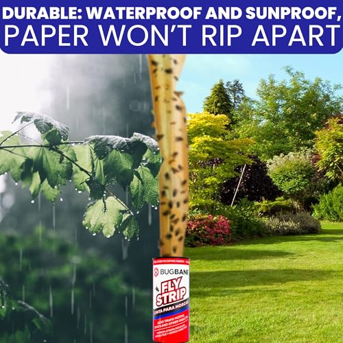 Fly Strips Indoor Sticky Hanging 48pk with Pins. Non Toxic Outdoor Fly Trap Indoor for Home. Flies Tape Paper Trap Ribbon Roll for House Gnat Fruit and Housefly. Bug Catchers for Inside Home Flypaper. - size: 48 count