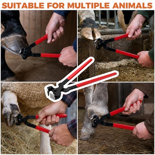 2-Pack 14 Inch Horse Hoof Nippers, Heavy Duty High Carbon Steel Farrier Tool, Professional Hoof Trimming Nippers for Horses Donkeys Cattle Sheep Livestock