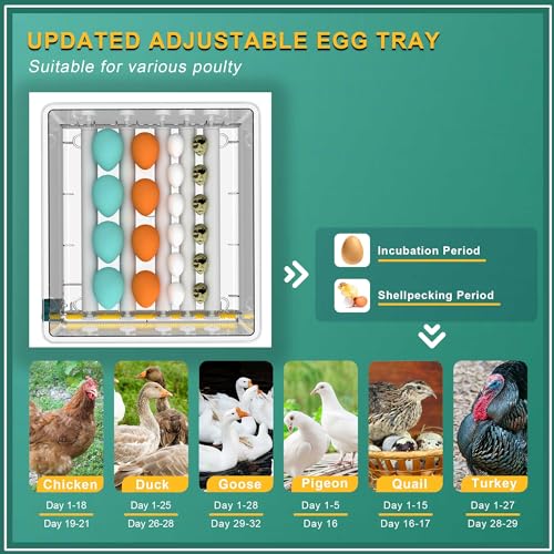 Choies 16 Egg Incubator,Incubators for Hatching Eggs,Automatic Egg Turning,Humidity Control,Automatic Water Adding,Incubator with Egg Candler,Quail Eggs Incubators for Hatching Chicken,Duck,Goose