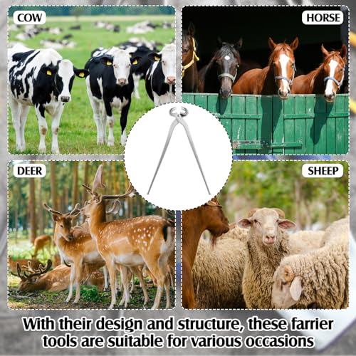 16 Inch Hoof Nippers Stainless Steel Farrier Tools Quality Hoof Trimmers with Gloves for Horse Goat Sheep Pigs Cattle Trimming Cutters Supplies Kit