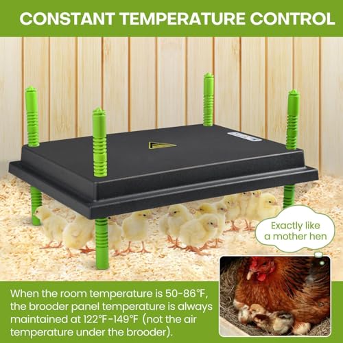 Chick Brooder Heater Plate for 40 Baby Chicks Ducks | 12" x 16" Brooder Heating Plate, Adjustable Height, 30W, 110V - size: 16.3"L x 12.0"W x 3.0"H