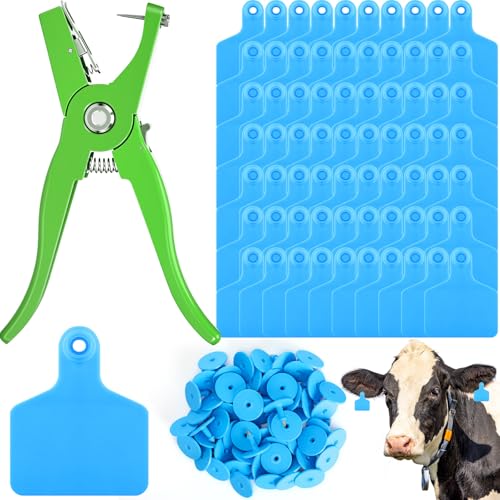 Lothee 100 Pcs Blank Cattle Ear Tags with Pliers Large Blue Plastic Precision Animal Identification Blank Livestock Ear Tags for Cattle Cow Horse Dog Pig Goat Sheep Farm Management - color: Blue