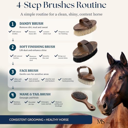 Premium Horse Brushes Set (4 Pieces) - Essential Equine Care Set with Beechwood Brushes, Natural Bristles, and Handcrafted Leather Bag - Luxury Gift for Horse Riders and Owners