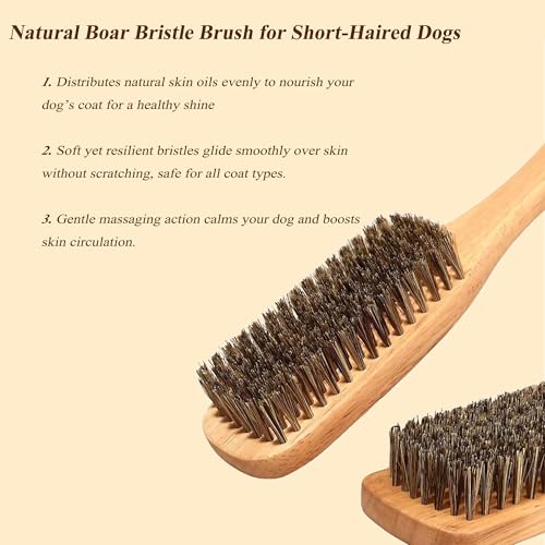 Boar Bristle Dog Brush for Short Haired Dogs, Natural Wooden Grooming Tool, Reduce Shedding, Detangle & Massage Sensitive Skin, Grooming to Calm Dogs & Build Pet Owner Bonding (Peach wood) - color: Peach wood