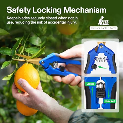 VIVOSUN 6.5 Inch Garden Scissors, Blue Pruning Shears for Plants, 2-Pack | Curved Precision Stainless Steel Blades, Comfort Ergonomic Grips, Ideal Snip for deadheading, Trimming & Shaping Plants - style: Blue Curved Blade