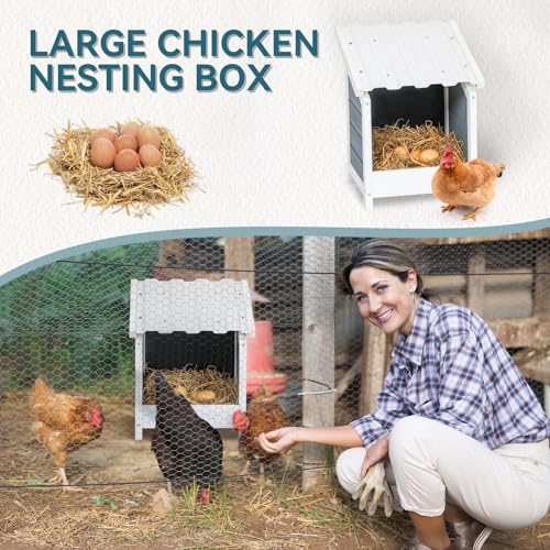 PETSFIT 1 Hole Chicken Nesting Box, PVC Waterproof Roof, Privacy Cover | Wall Mounted or Floor Use, Natural Fir Wood, Easy to Assemble and Clean, For Backyard Coops and Farms, Fits Standard Hens - size: 1 Holes