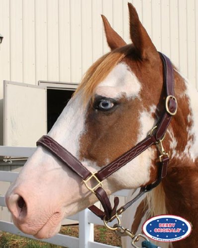 Derby OriginalsLeather Horse Halter