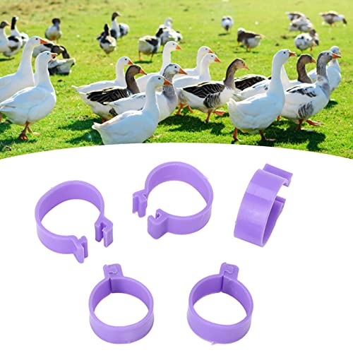 100Pcs Chicken Foot Ring Classification Marking Purple Poultry Foot Rings Plastic Chicken Leg Bands Round Identificaiton Tags Farming Tools (16mm-Purple)