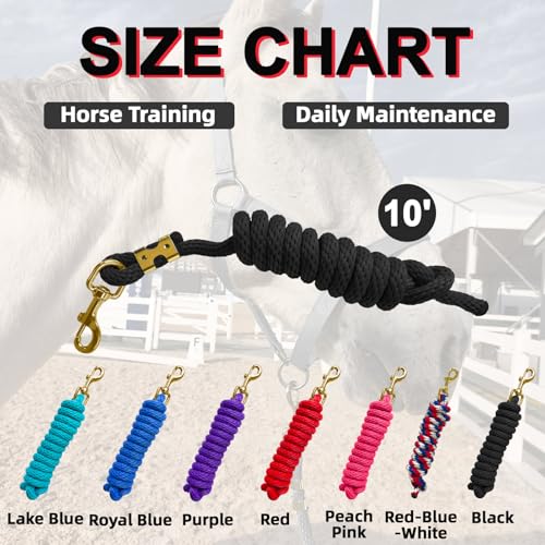 5/8" x 8' Nylon Horse Lead Rope with Cast Iron Hardware (Black) | Durable nylon material, cast iron hardware, ideal for daily use, training and showing. - color: Black