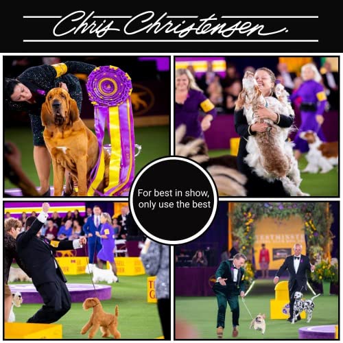 Chris Christensen Boar Dog Brush, Groom Like a Professional, Natural Boar Bristles, Beech Wood Handle, Distributes Natural Oils Making for a Healthy Coat