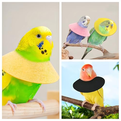 3 Pack Anti-bite Bird Collars Anti-Grab Feather Plucking Wound Healing Safety Elizabethan Collar Neck Protector Recovery Cones for Budgerigar Cockatiel Lovebirds Cockatoo Parrots-L - size: L