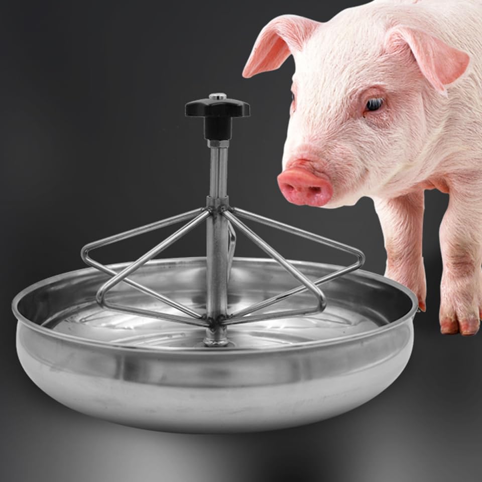 Stainless Steel Feeding Bowl Trough for Livestock and Pigs 9.84X9.84X3.54 Inch Multi-Compartment Rust Proof Farm Feeder Easy to Clean