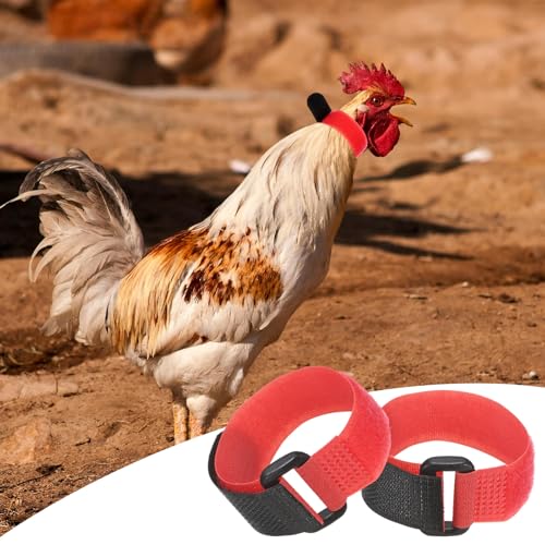 M METERXITY 10-Pack Rooster Collars, 8.07" x 0.79" Adjustable Soft Polyester Anti-Noise Neck Belt for Chickens and Poultry Birds, Noise Control Collar [Red] - color: Red