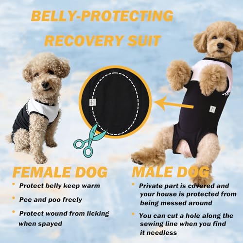 Dog Surgical Suit - Recovery Onesie for Dogs After Surgery, Spayed Female/Male Puppy, Breathable Anti-Lick Clothes, Alternative to Cone(Black and White-XXS) - color: black and white, size: XX-Small