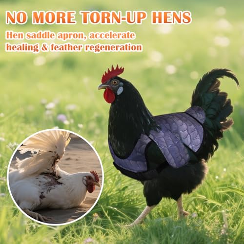 Chicken Saddles for Hens, Chicken Apron Back Protector for Hens with Adjustable Strap, Chickens Hen Mating Saddle with Wing Cover-Black - color: Black