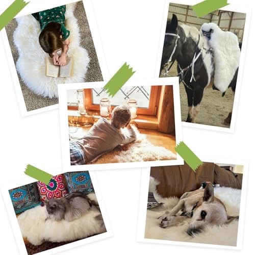 AOGELAN Shaggy Fur Area Rug, Genuine New Zealand Sheepskin Rug, Soft Fur Prayer Pup Carpet Mat, Single Pelt 2ft x 3ft Light Brown | Natural Fluffy Fuzzy Sheepskin Fur Area Rug,Chair Sofa Seat Cover,Living Room,Bedroom,Pets Dogs Mat,Pray Pup Mat,Yoga Mat -
