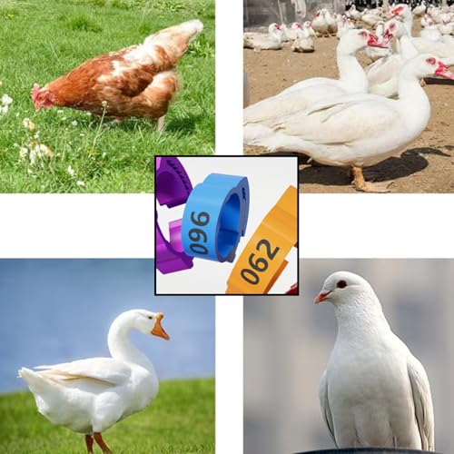 150 PCS Poultry Leg Bands, Adjustable Numbered Chicken Leg Rings for Identification, 5 Colors for Chickens, Ducks, Geese, Turkeys, Farm Management