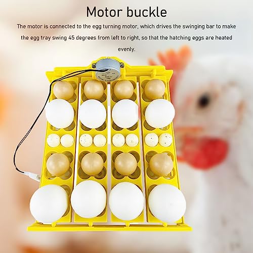 Egg Turning Tray, Incubator Chicken Multifunction Automatic Turner Tray Quail Incubation, Incubators for Hatching Eggs (DC12V) - size: DC12V