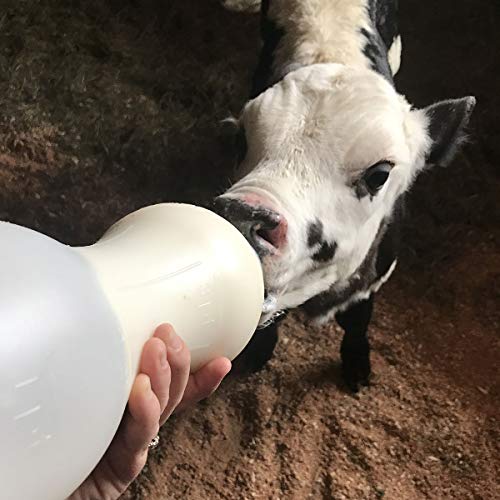 BESS Calf 2qt Nursing Feeding Bottle: Leak-Free, Non-Collapsing, with Clear Snap-on Nipple (2 qt, Snap on)