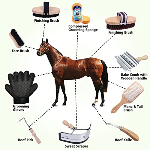 Harrison Howard Horse Grooming Kit 10-Piece Wooden Brush Set with Storage Case Tack Room Supplies Shedding Grooming Massaging Tools