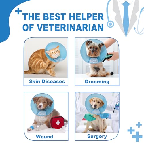 Supet Dog Cone Collar Adjustable After Surgery, Comfortable Pet Recovery Collar & Cone for Large Medium Small Dogs, Elizabethan Dog Neck Collar Plastic Practical - color: Blue, size: L(Neck: 14.0~17.5")
