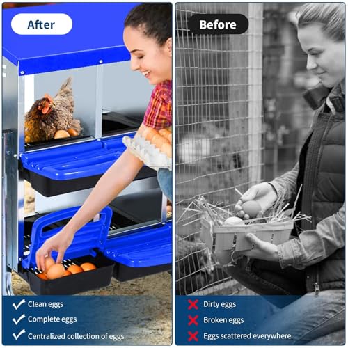 Chicken Nesting Box, 10 Compartment Roll Away Design for High-Volume Egg Collection and Easy Wall Mounting with Metal Legs - color: Blue, size: 10 holes with legs