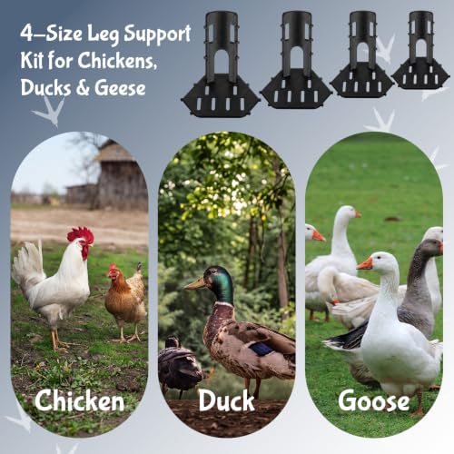 Xuhal 8 Pack Poultry Leg Support Kit with Toe Separator & Bandage 4 Sizes Chicken Splint for Broken Feet & Curled Toes Fixing Fractures, Curled Toes, Bumblefoot in Ducks, Chickens, Geese (Black) - color: Black