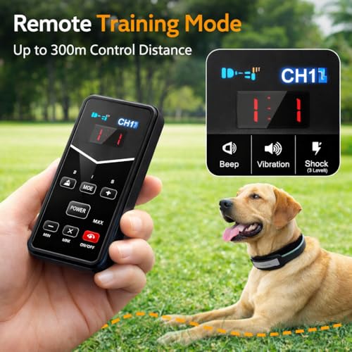 2026 Advanced 2-in-1 Wireless Dog Fence & Dog Training Collar for 2 Dogs, Portable with LCD Display, Adjustable 300M Range & Warning Levels, Rechargeable, Wireless Dog Fence (Black) - color: Black