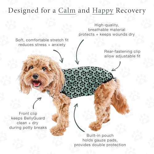 Dog Surgery Recovery Suit, Male Female After Spay Neuter Onesie | Soft Breathable Cotton, Anti-licking Cone Alternative, Protects Stitches & Abdominal Wounds, Patented Clip-up Potty System - color: Harbor Grey, size: X-Small