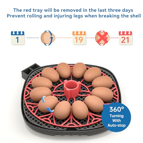 12-24 Egg Incubator incubators for Hatching Eggs | Humidity Display, Egg Candler, Automatic Egg Turner, for Hatching Chickens Duck Quail Parrot - color: Red
