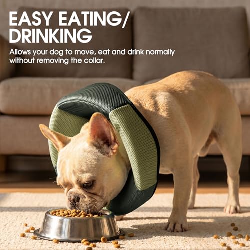 Dog Cone - Soft Cone for Dogs to Stop Licking, Pet E-Collar Alternative After Surgery, Adjustable Pet Recovery Collar for Wound Healing, Army Green Large - color: Army Green, size: Large