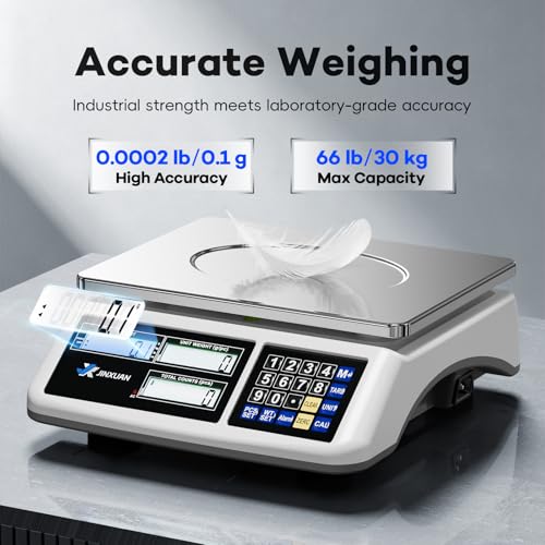 Counting Scale (66lb/30kg, 0.1g), lb/oz/g/kg Industrial Parts Scale with Dual LCD Display, Digital Inventory Scale for Small Parts Coins Pieces Tickets, Precision Gram Scale with Alarm Mode - style: 30kg x 0.1g with 3 Displays
