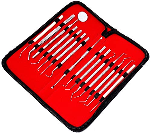 Set of 15 Stainless Steel Precision Micro Probe Scaler Set Combo, 5.5 inch- 6 inch Overall Length