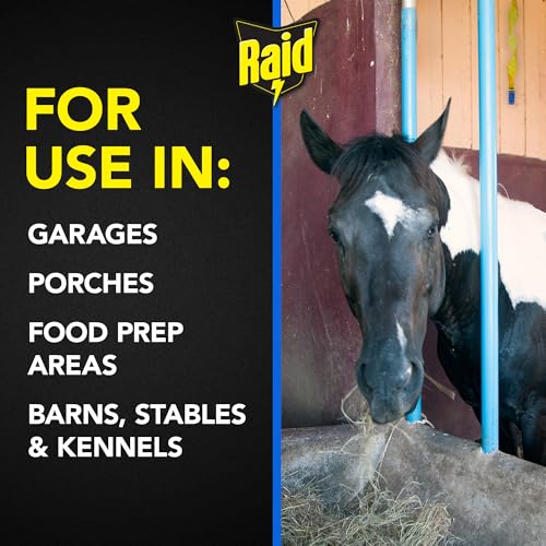 Raid FR3-RAID 4 Count Fly Catcher Ribbon (1-Pack) - size: 1