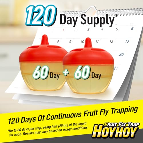 HOY HOY Fruit Fly Trap – 2 Traps (1 Pack) – Attracts & Traps Fruit Flies, Up to 120-Day Supply, Food-Based Lure, Indoor Use for Kitchen, Sink & Trash Areas