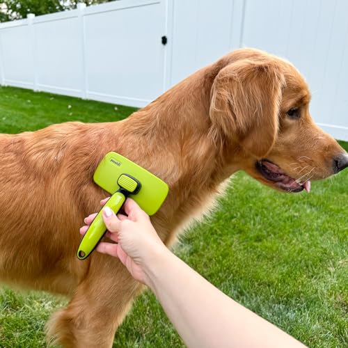 Pecute Skin Friendly Self-Cleaning Slicker Brush for Dog & Cat Shedding | 1 click clean, Lightweight, Undercoat hair removal, For short/long/double/white coats - size: Large