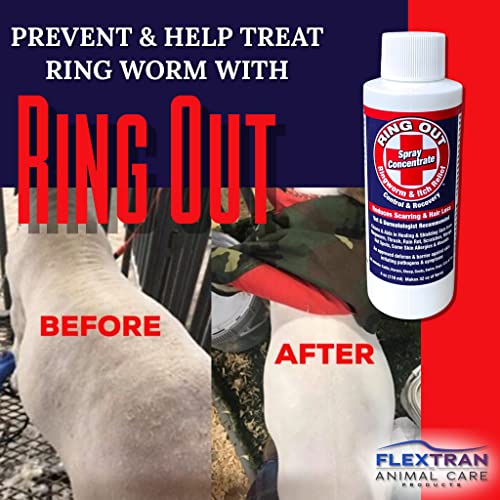 Show Pro Red Goat Blanket Nylon with Mesh Butt for Show Goats - Livestock Supplies for Goat Cover. Free Ring Out Concentrate for Proven Ringworm & Fungus Prevention Included - size: Large
