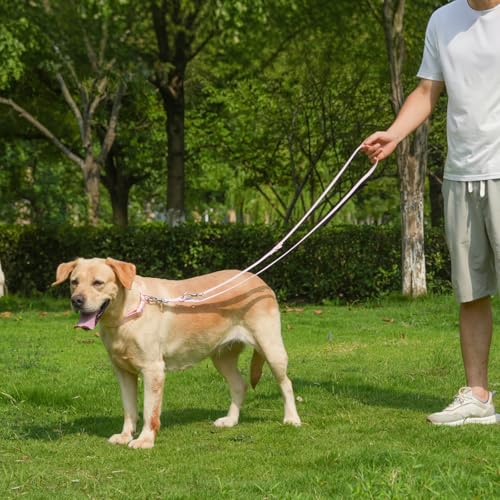 Waterproof Dog Leash with Poop Bag Holder, 5FT/6FT Adjustable Length with 2 Swivel Hooks, Odor-Free & Easy-Clean Dog Lead for Large Medium Small Dogs - color: Pink, size: 5FT - 3/5inch Width