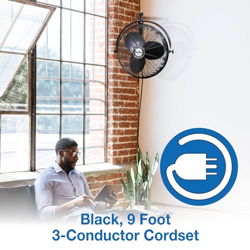 Air King 9020 1/6 HP Industrial Grade Wall Mount Fan, 20-Inch,Black - style: Mount Fan