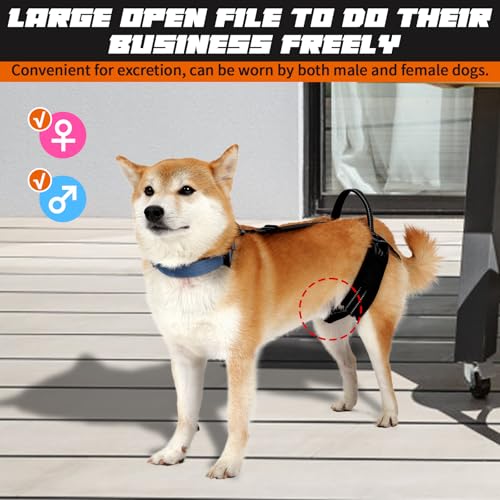 Dog Harness Rear Leg Support for Old Disabled Injured Arthritis Post-op S | Breathable mesh material with reflective strape, adjustable buckle, portable lifting handle, match most dog collars - size: S(Leg Girth: 13.3-18.1")